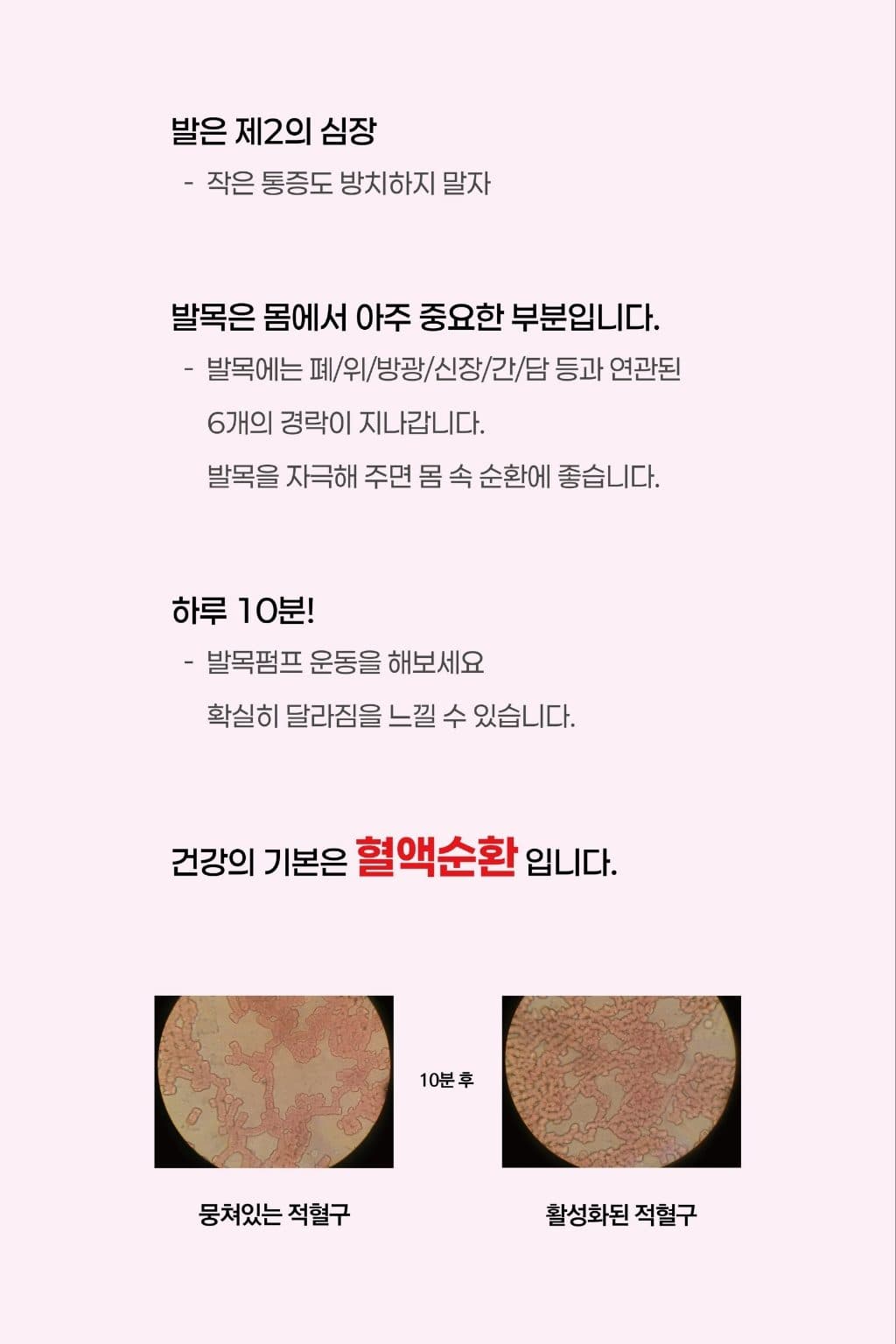 발목이 중요한 이유